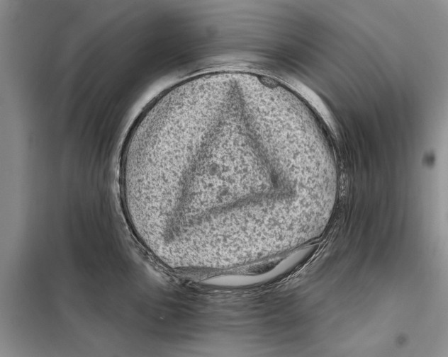 X0000097871051200804110919