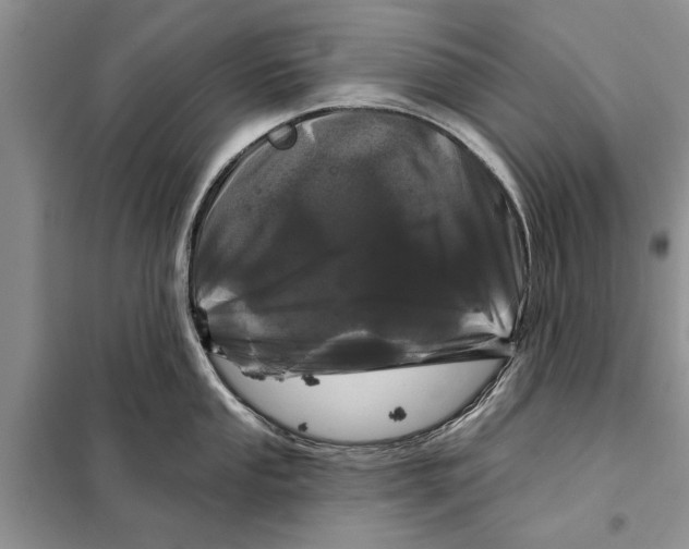 X0000097871053200804110919