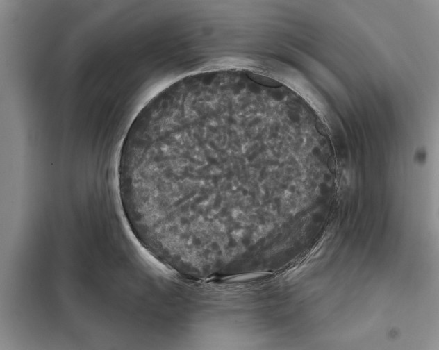 X0000097871055200804110919