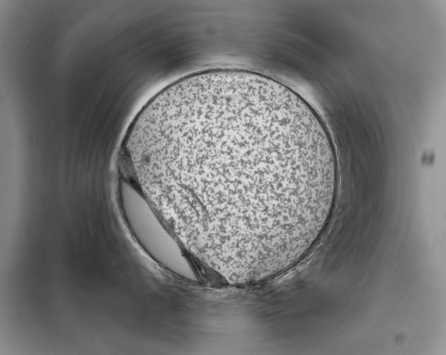 X0000097871056200804110919