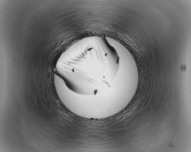 X0000097871060200804110918