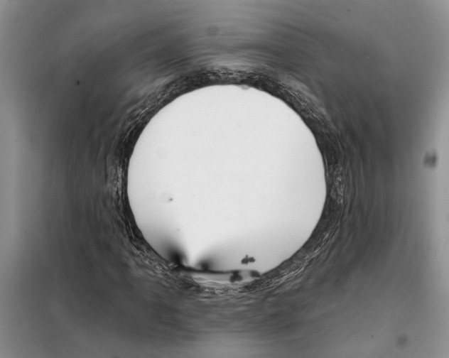 X0000097871061200804110918