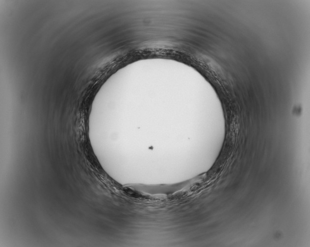 X0000097871062200804110918