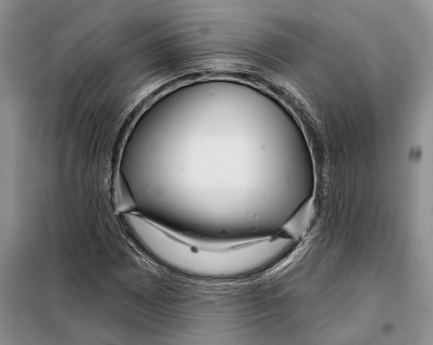 X0000097871065200804110918