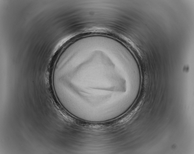 X0000097871066200804110918