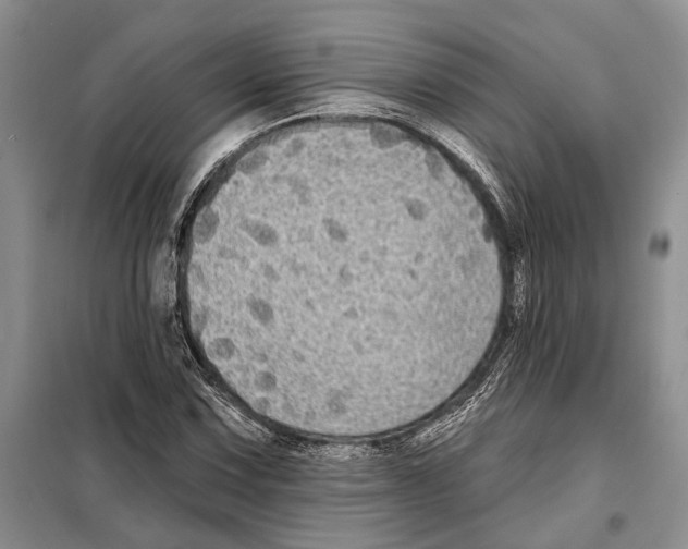X0000097871067200804110918