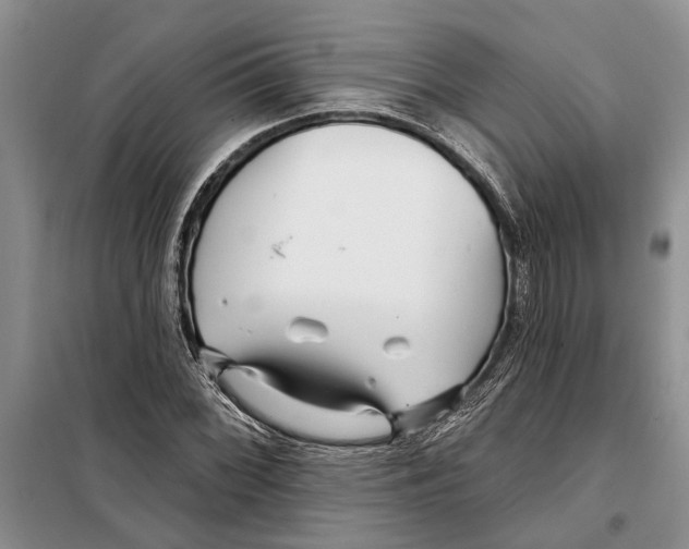 X0000097871068200804110918