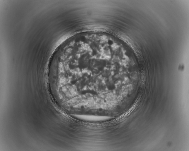 X0000097871071200804110918