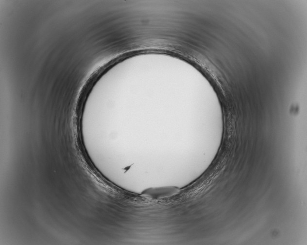 X0000097871072200804110918