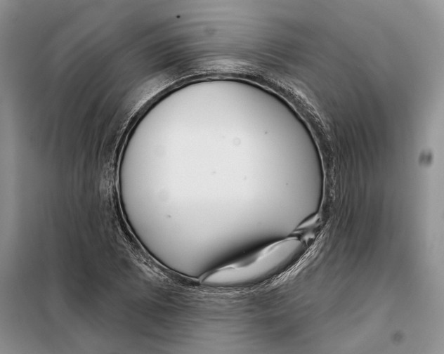 X0000097871073200804110918