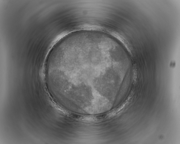X0000097871074200804110918