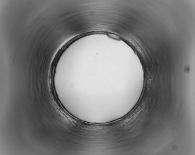 X0000097871076200804110918