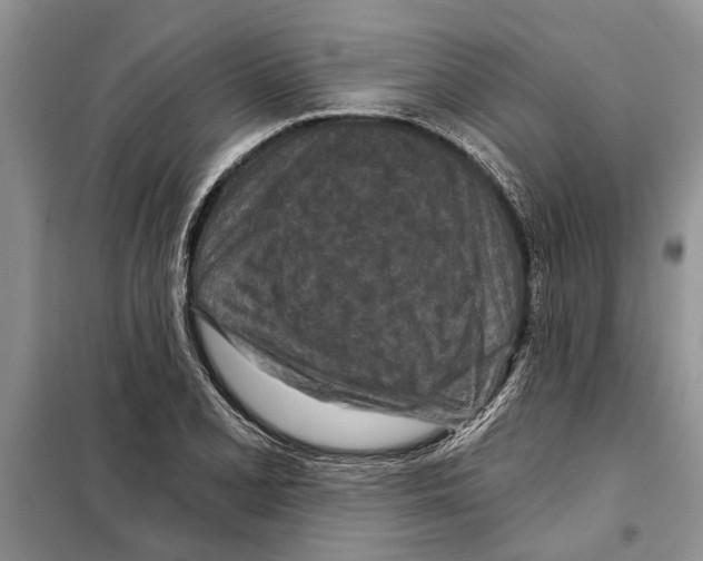 X0000097871077200804110918