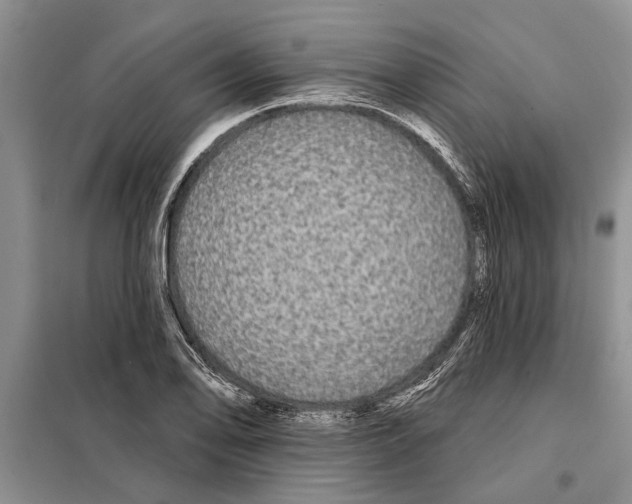 X0000097871078200804110918