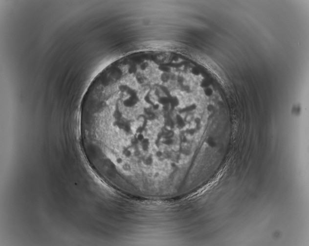 X0000097871079200804110918