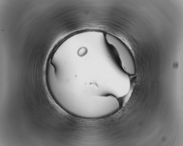 X0000097871080200804110918