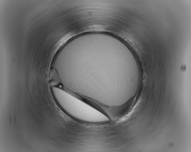 X0000097871081200804110918
