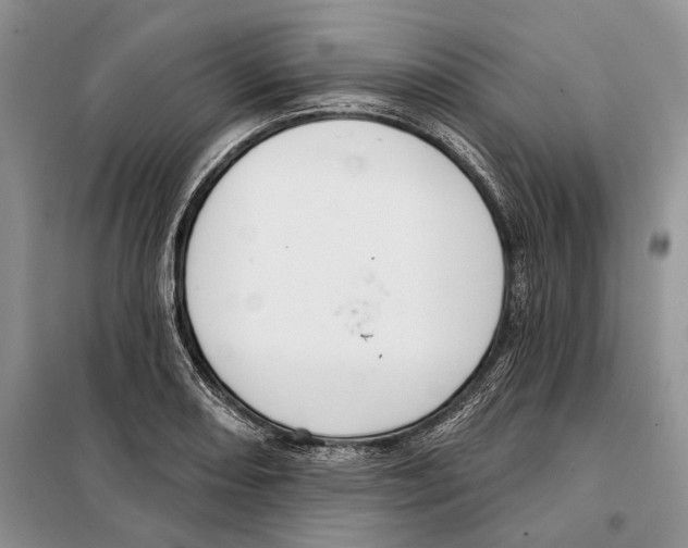 X0000097871082200804110918