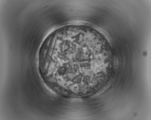 X0000097871083200804110918
