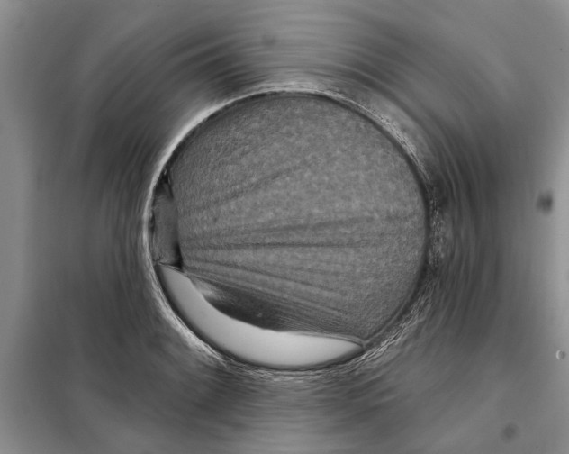X0000097871084200804110918