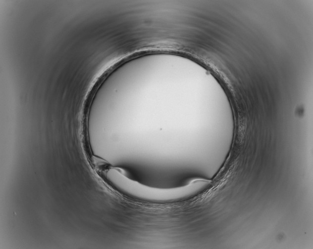 X0000097871085200804110918