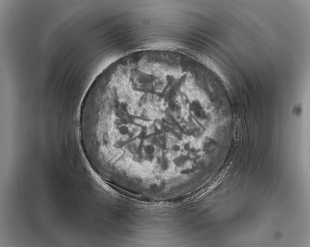 X0000097871087200804110918