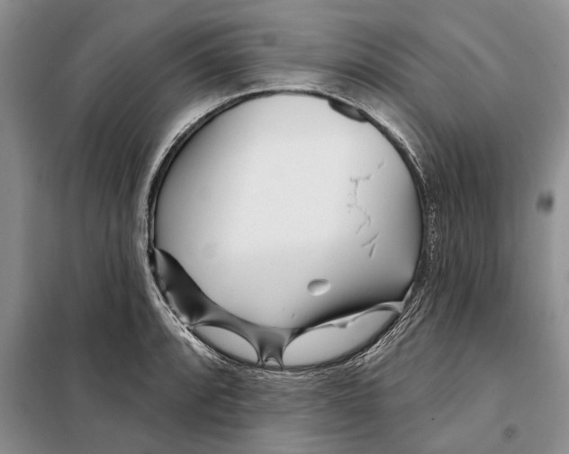 X0000097871088200804110918