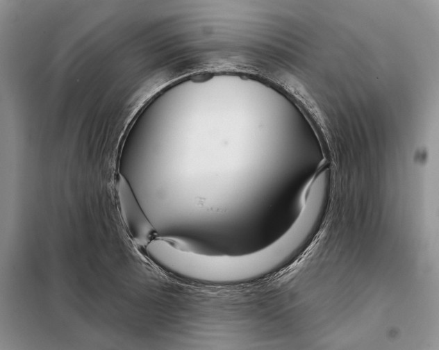 X0000097871089200804110918