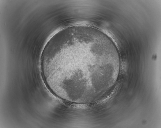 X0000097871090200804110918