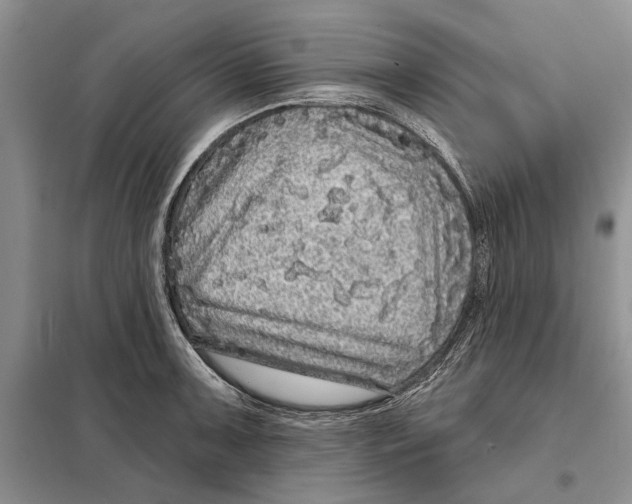 X0000097871091200804110918