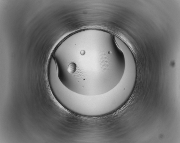 X0000097871092200804110918