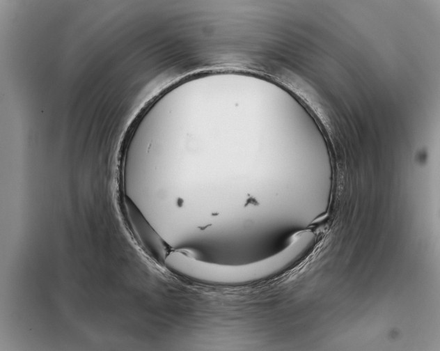 X0000097871093200804110918
