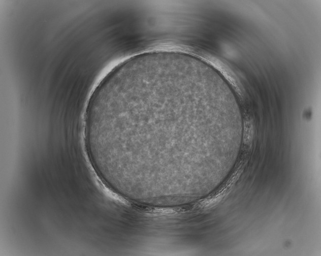 X0000097871094200804110918