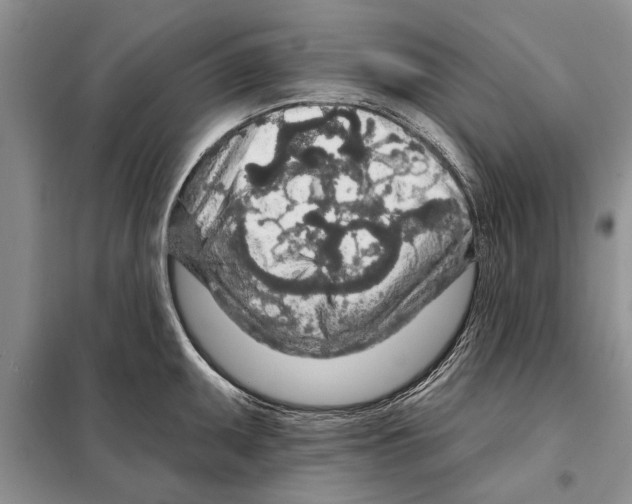 X0000097871095200804110918