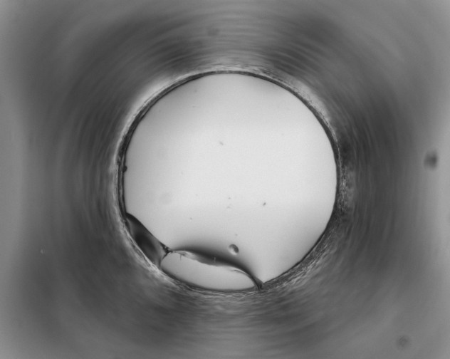 X0000097871096200804110918