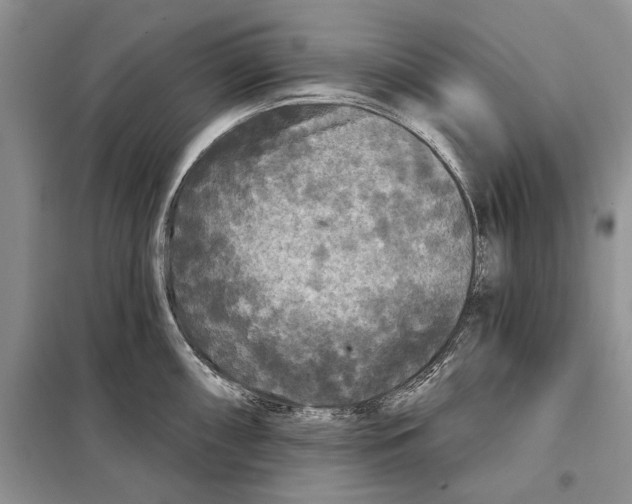 X0000097871098200804110918