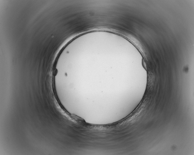 X0000097871100200804110917