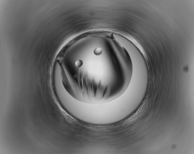 X0000097871101200804110917