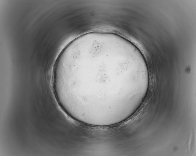 X0000097871103200804110917