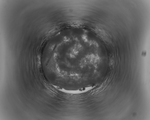 X0000097871106200804110917