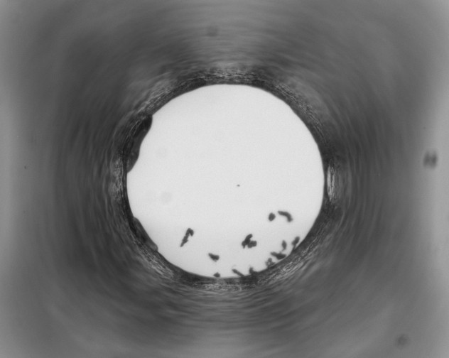 X0000097871107200804110917
