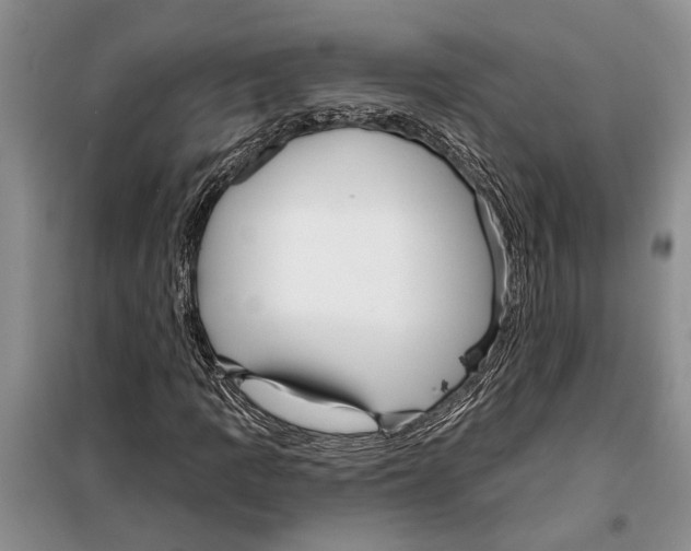 X0000097871109200804110917