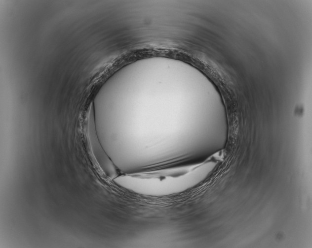 X0000097871110200804110917