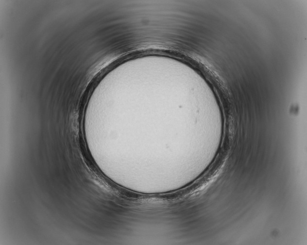 X0000097871113200804110917