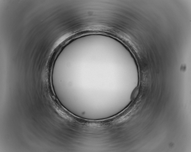 X0000097871114200804110917