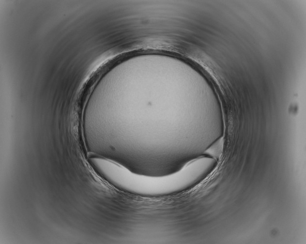 X0000097871115200804110917