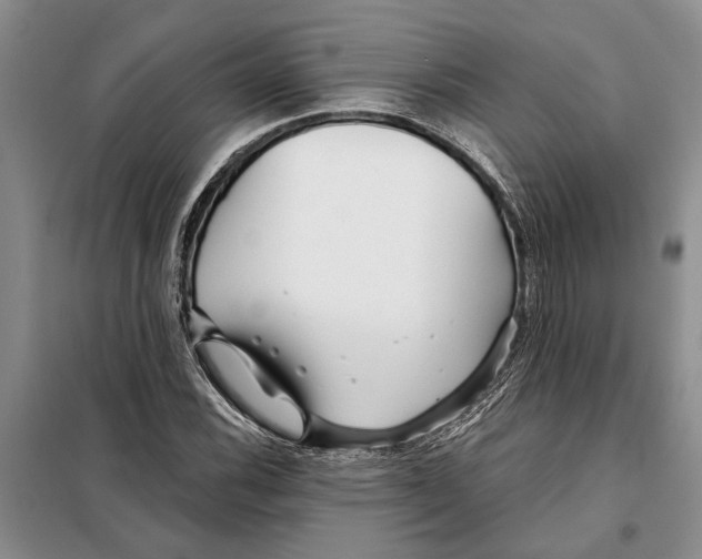 X0000097871116200804110917