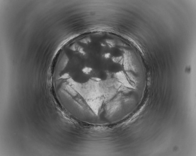 X0000097871117200804110917