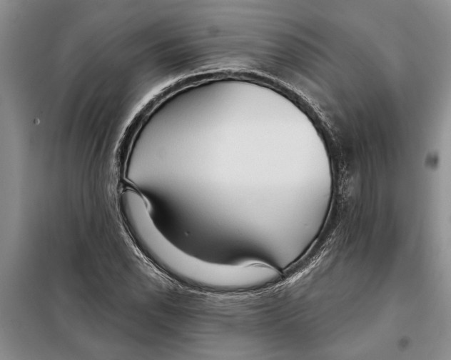 X0000097871118200804110917
