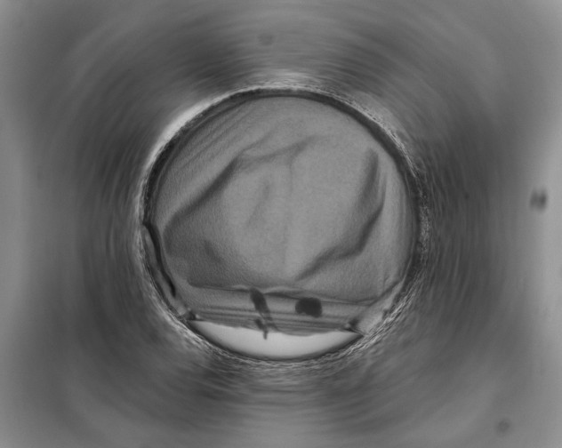 X0000097871120200804110917